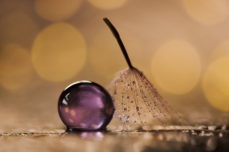 o\\ фото превью