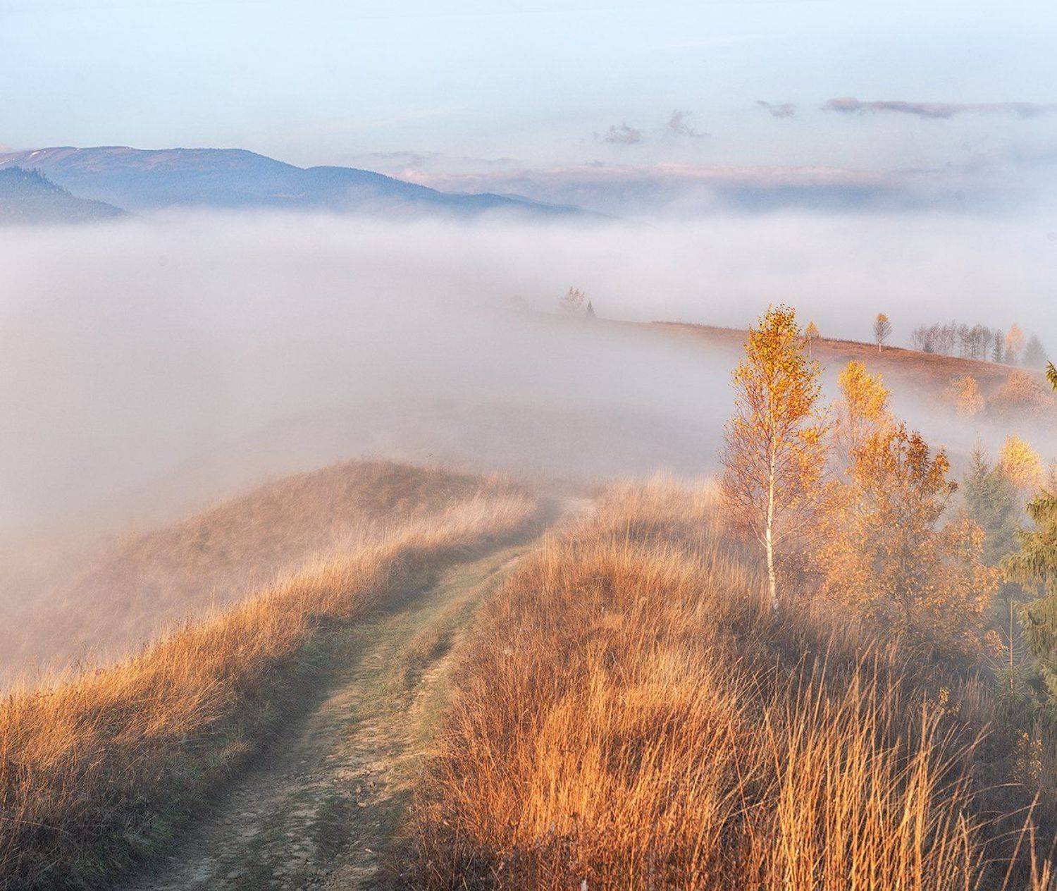 закарпатье, осень, рассвет, горы, Владимир Липецких