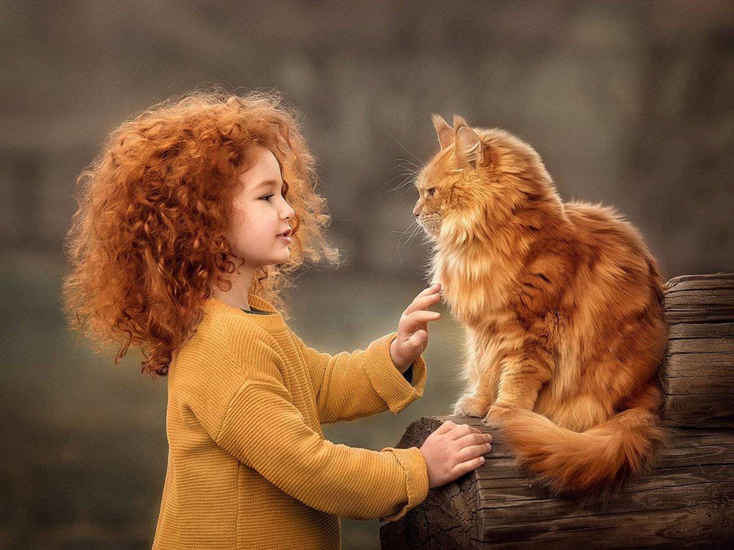 , Елена Михайлова