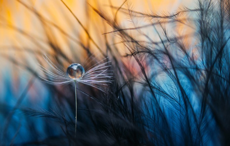 O фото превью