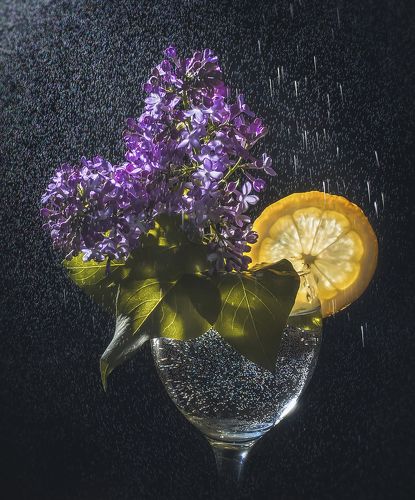 Этюд с лимоном...