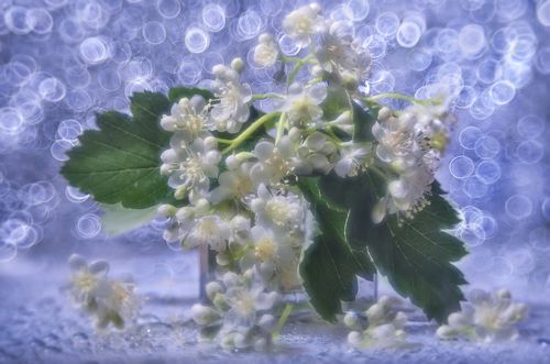 Волшебство...