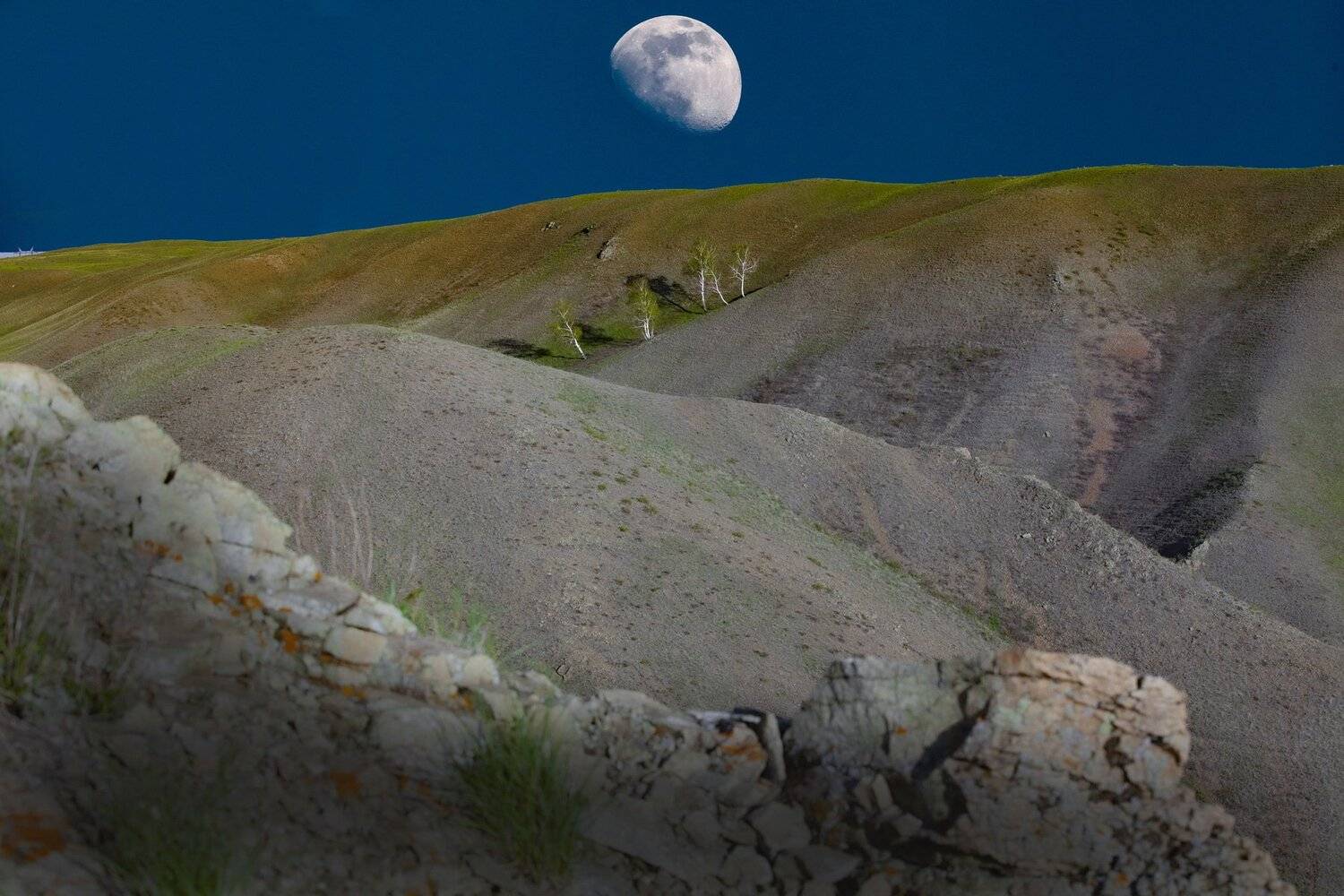 , петр чиков