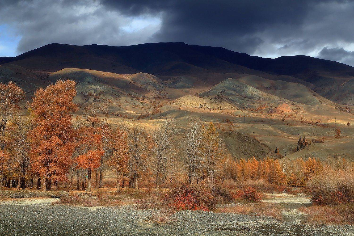 , Евгений Зинов