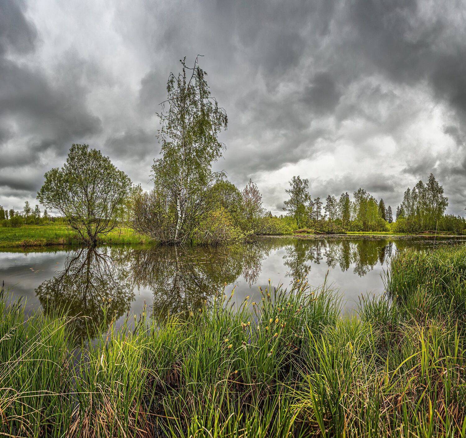 , Николай Андреев