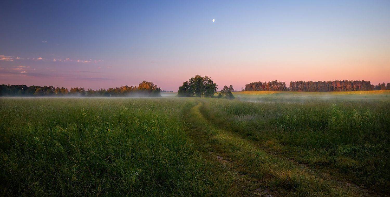 лето, рассвет, дорога, дымка,, Сергей Шабуневич