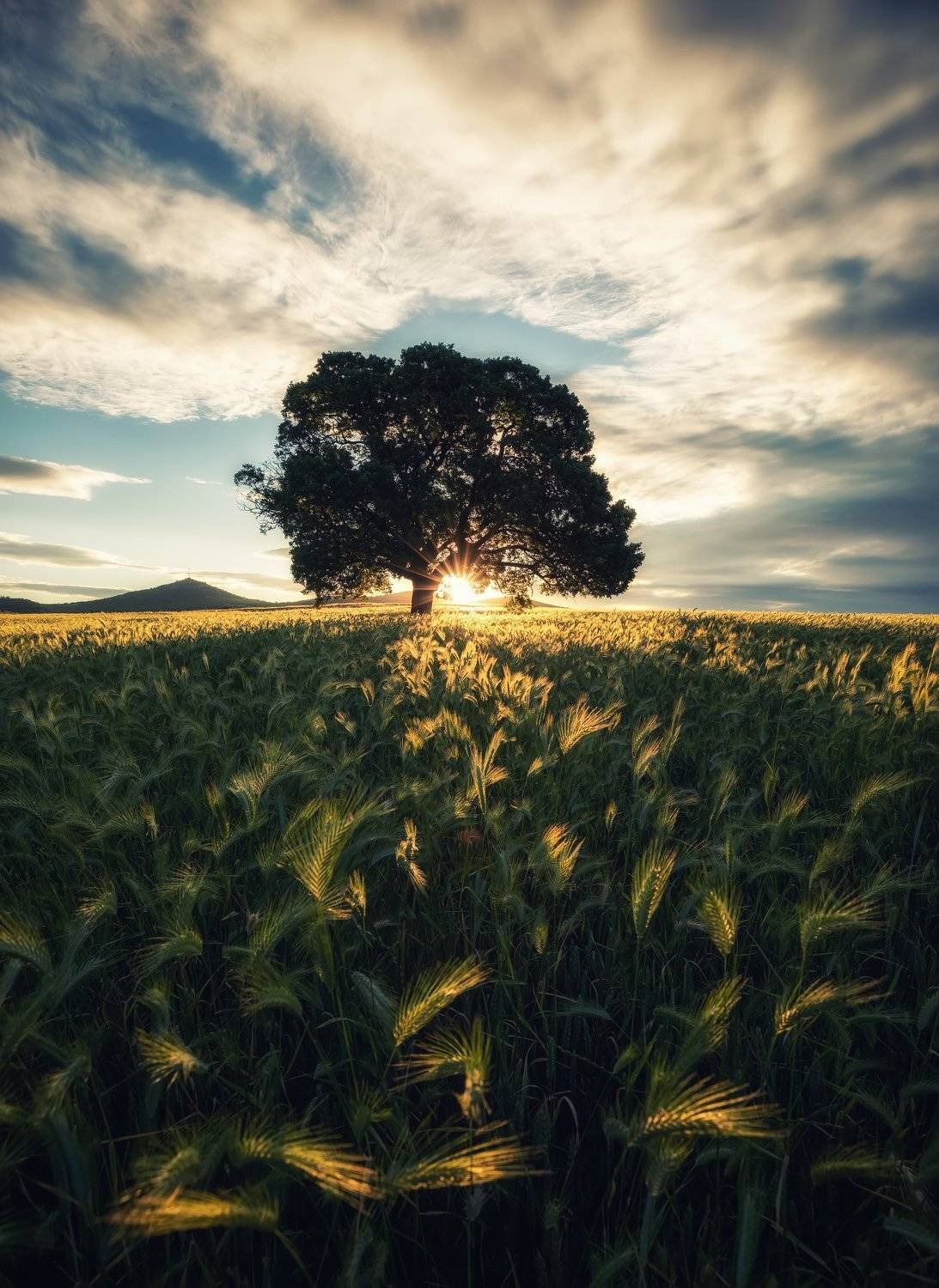 , Костадин Маджаров