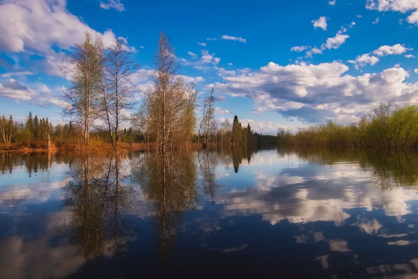 , Игорь Подобаев