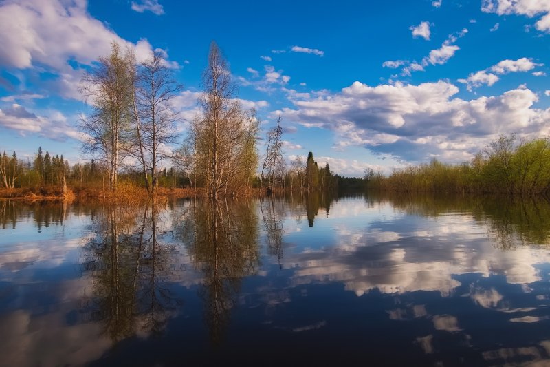 Весенняя Марушиха фото превью