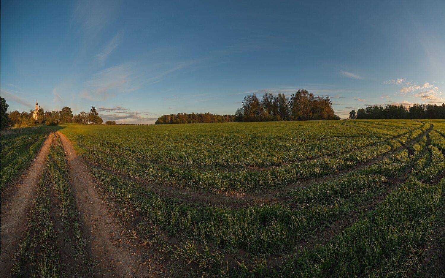 , Константин Дэм