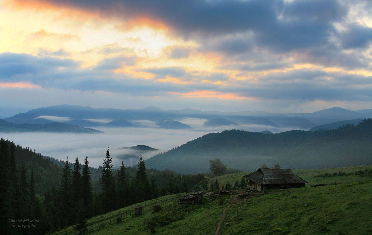 , Милокост Алексей