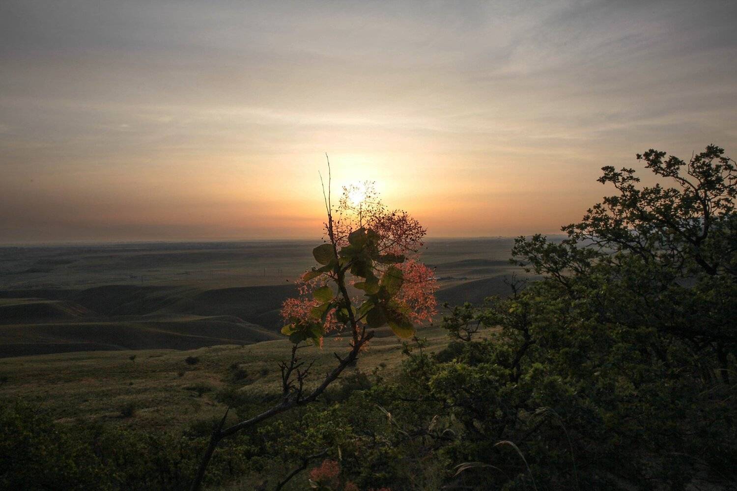утро,горы,вершины,пейзаж,небо,деревья,дагестан,природа, Marat Magov