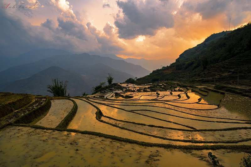 #sellingphoto #landscape Sunset фото превью