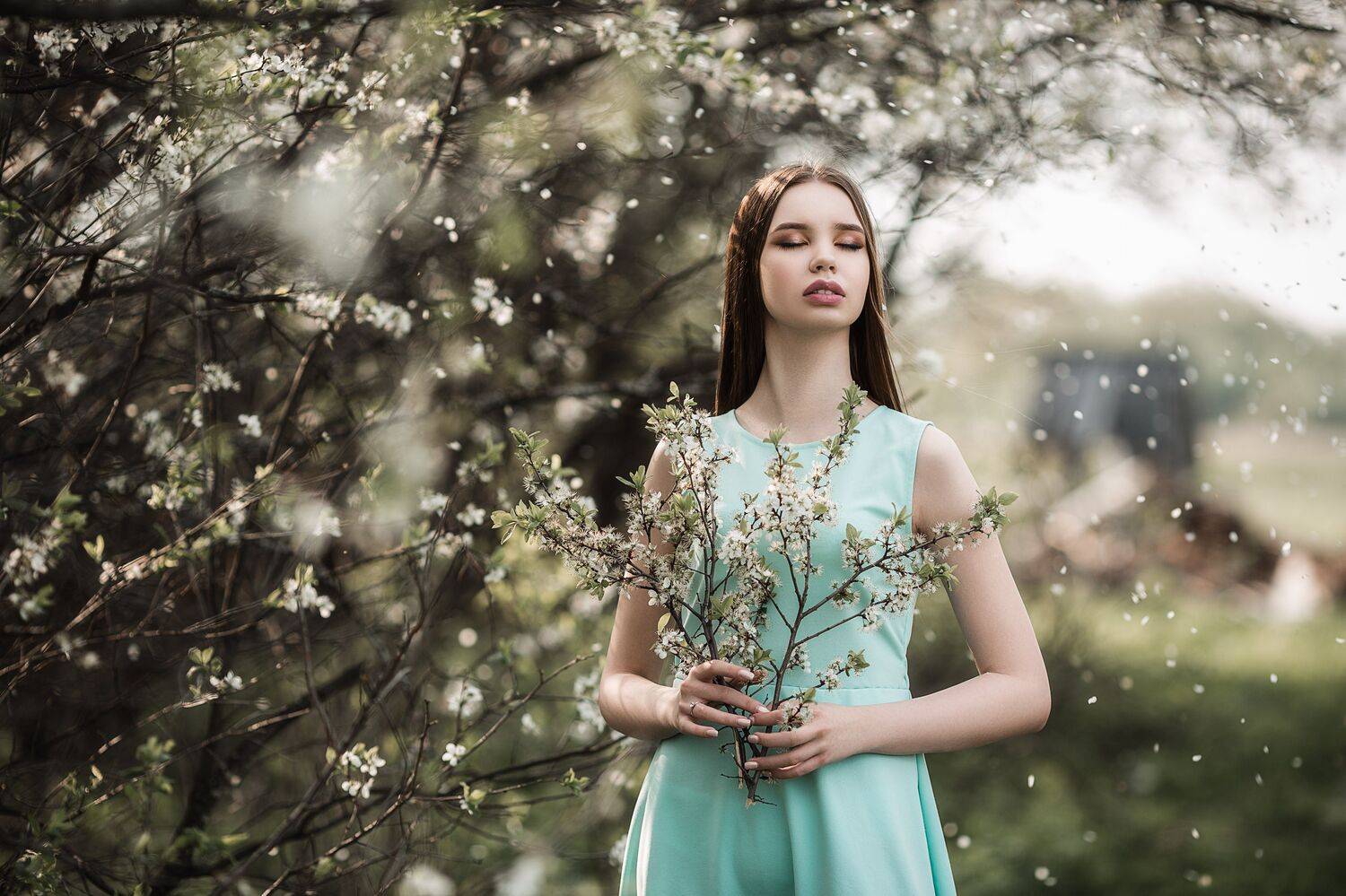 девушка, модель, портрет, фотосессия, природа, весна, день, ветер, солнце, цветущие сады, girl, model, portrait, photo, nature, day, spring, wind, sun, blossoming garden, Владимир Васильев