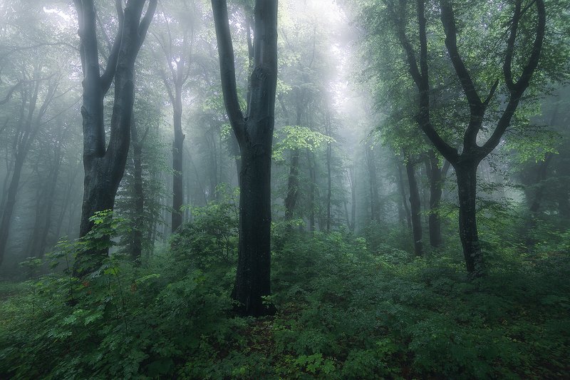 retezat, retezatnationalpark, romania, landscape The Gathering фото превью