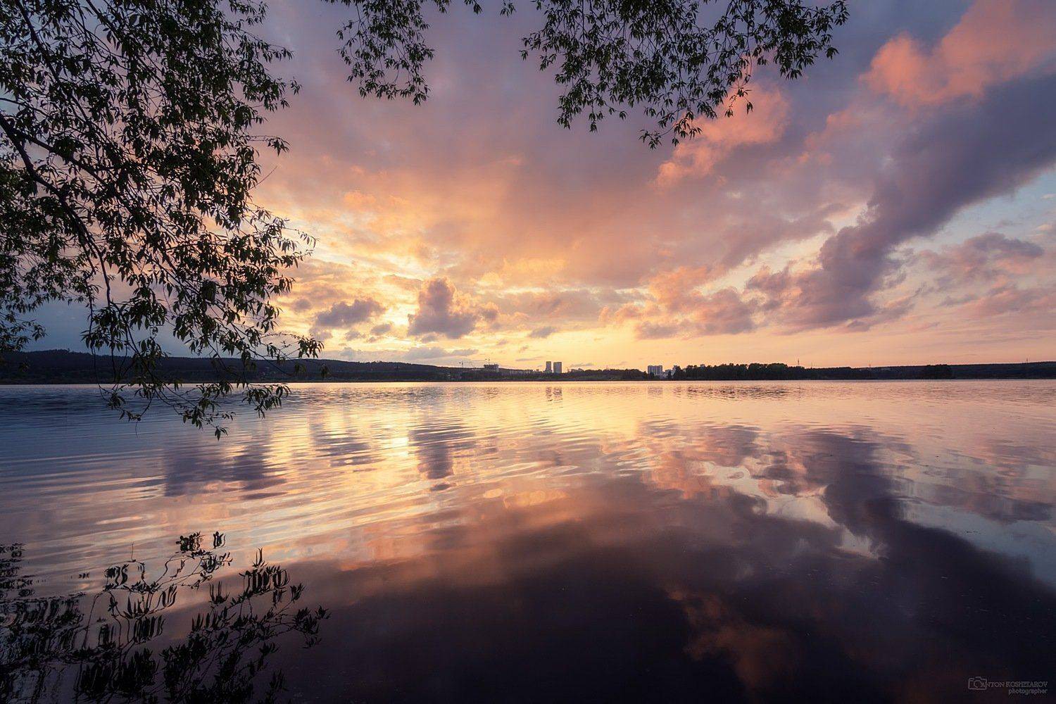 , Антон Кошетаров