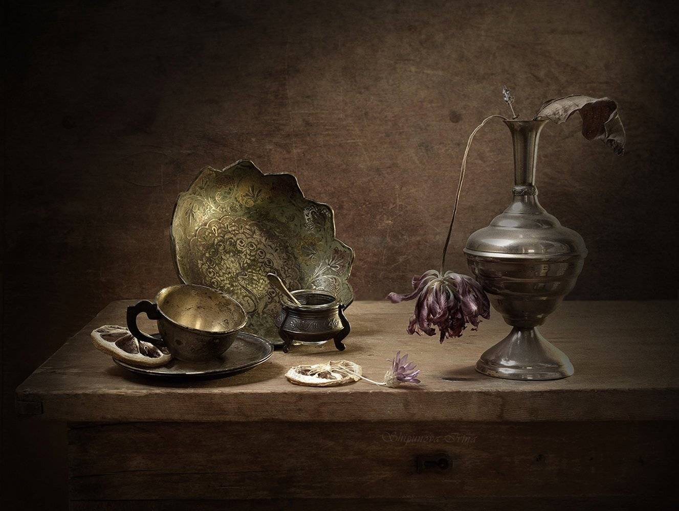 , Шипунова Ирина