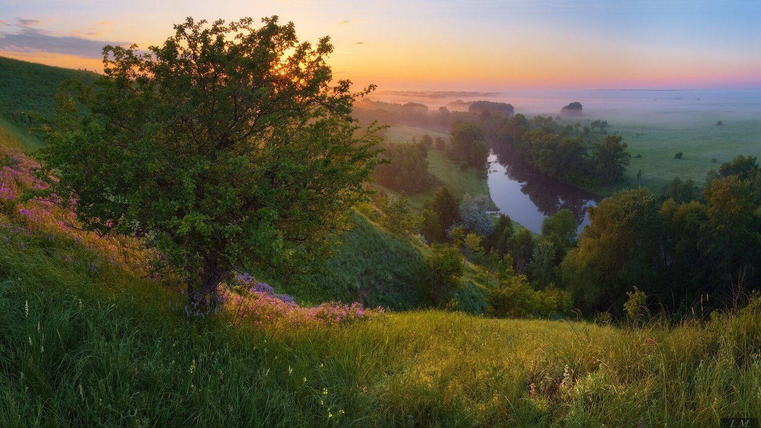 утро, рассвет, весна, пейзаж, вид, туман, река, псёл, дерево, цветы, свет, панорама, light, spring, morning, view, panorama, river, psel, ukraine, sunrise, colors, flowers, grass, hills, tree, fog, misty, foggy, Ivan Maljarenko 