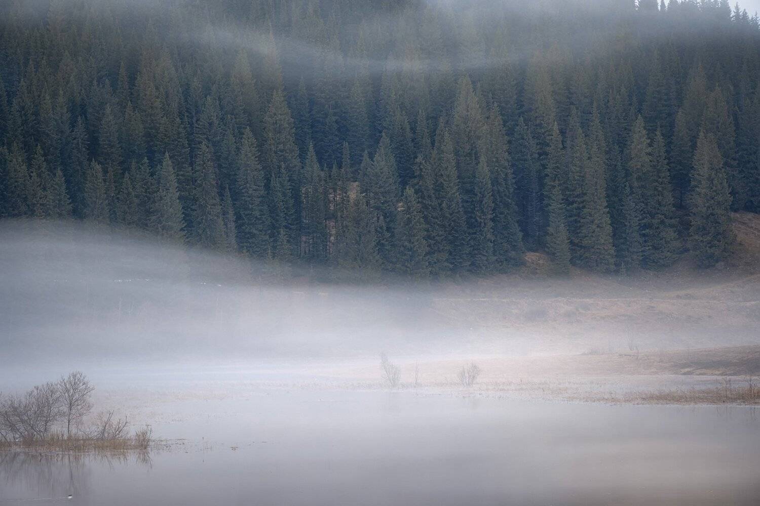 кусья, река, пруд, урал, пермь, утро, туман, весна, май, Андрей Чиж