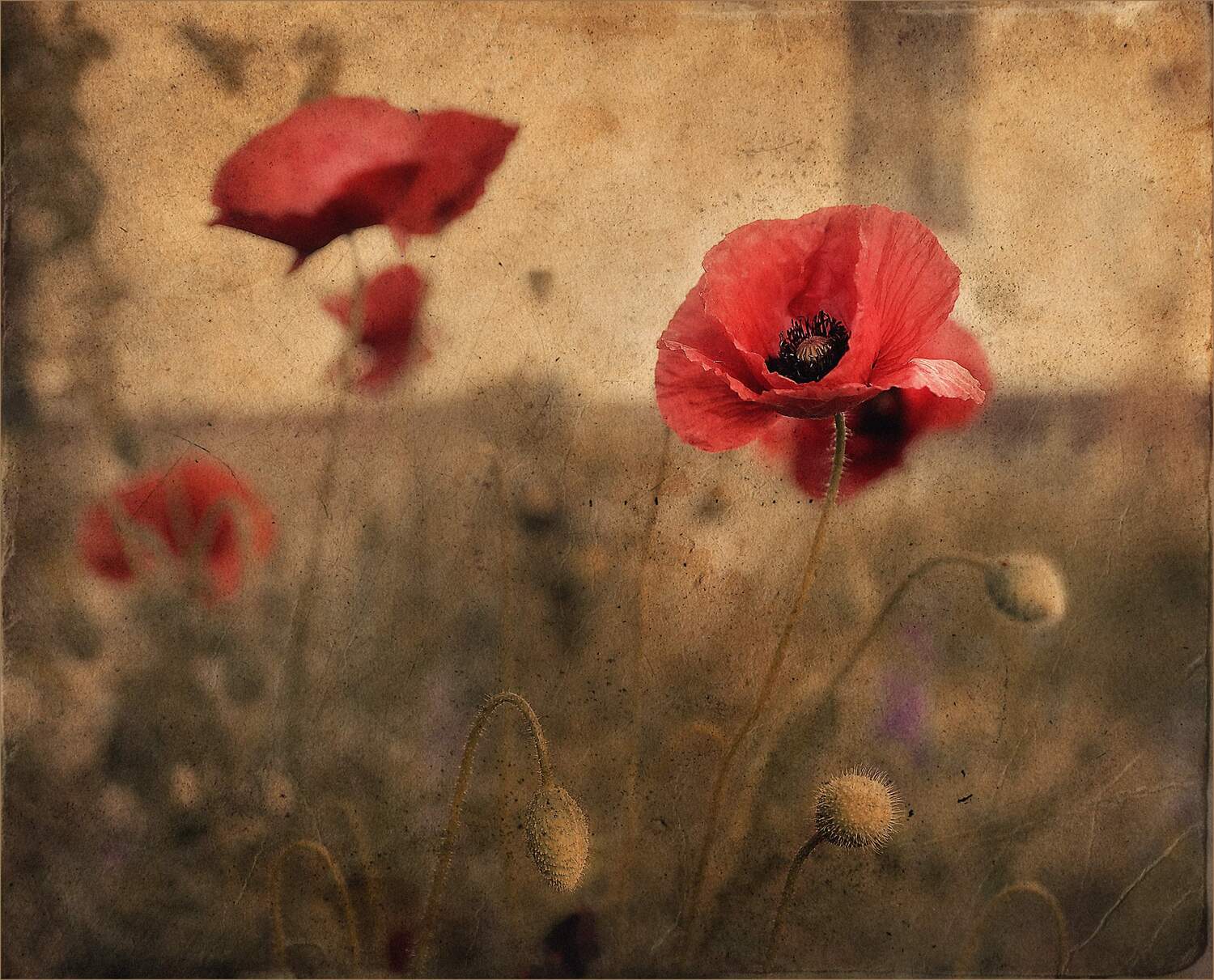 , Александр Хромеев