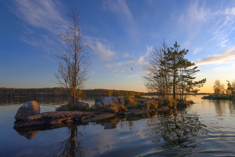 карелия Парусник весны фото превью
