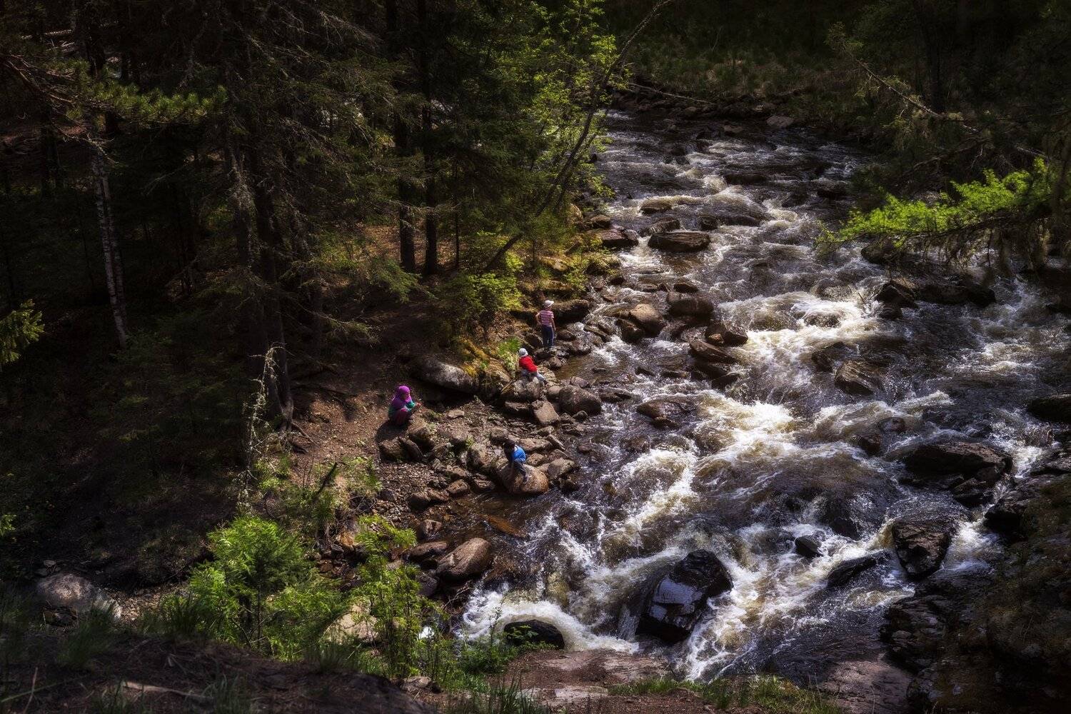 , Андрей Шарапов