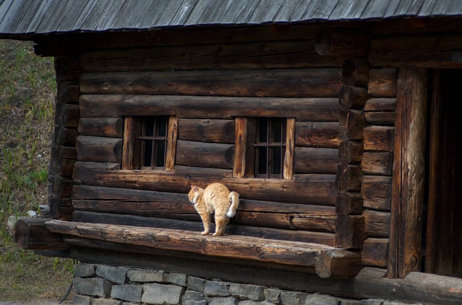 , Юрий Юрьев