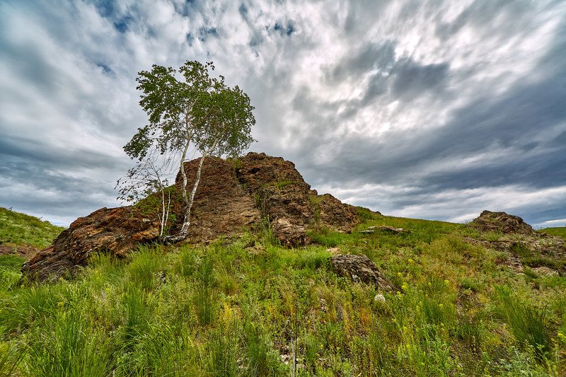 южный урал,оренбургская область, орск, новотроицк, И на камнях растут деревья.. фото превью