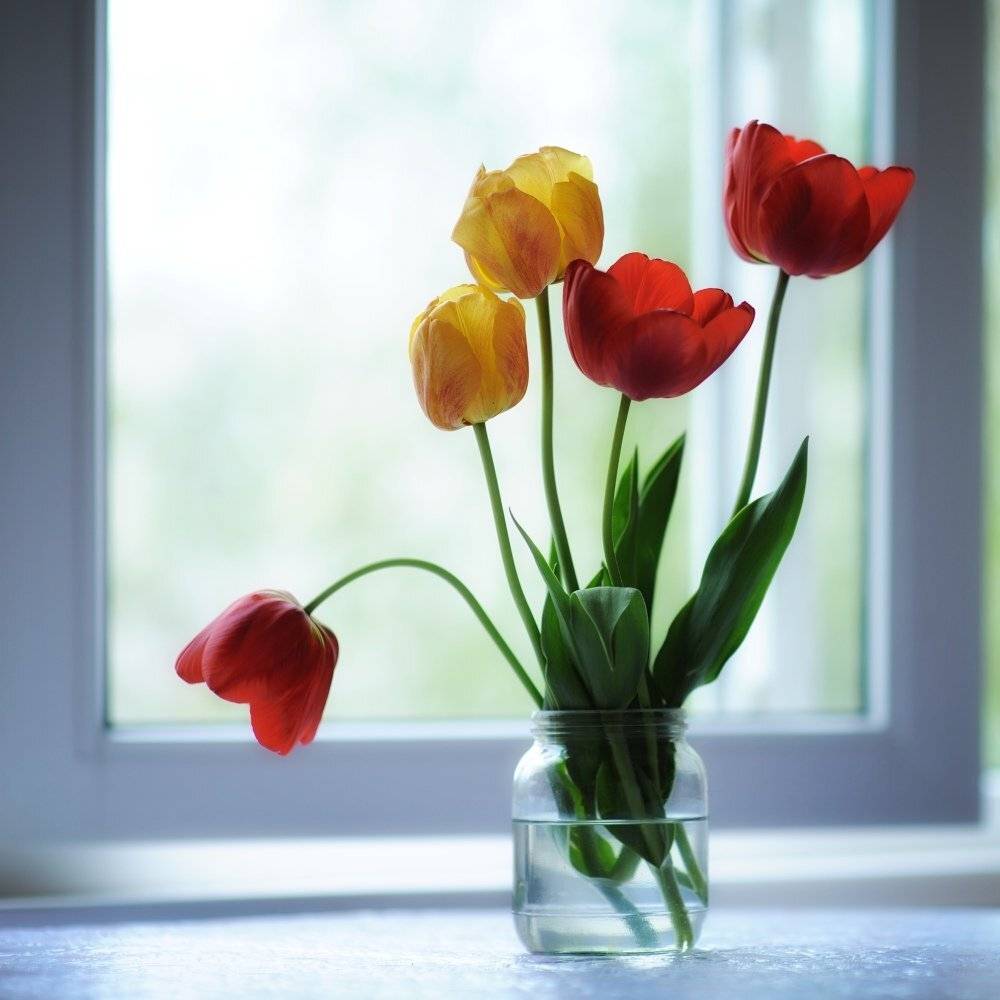 , Никитин Николай