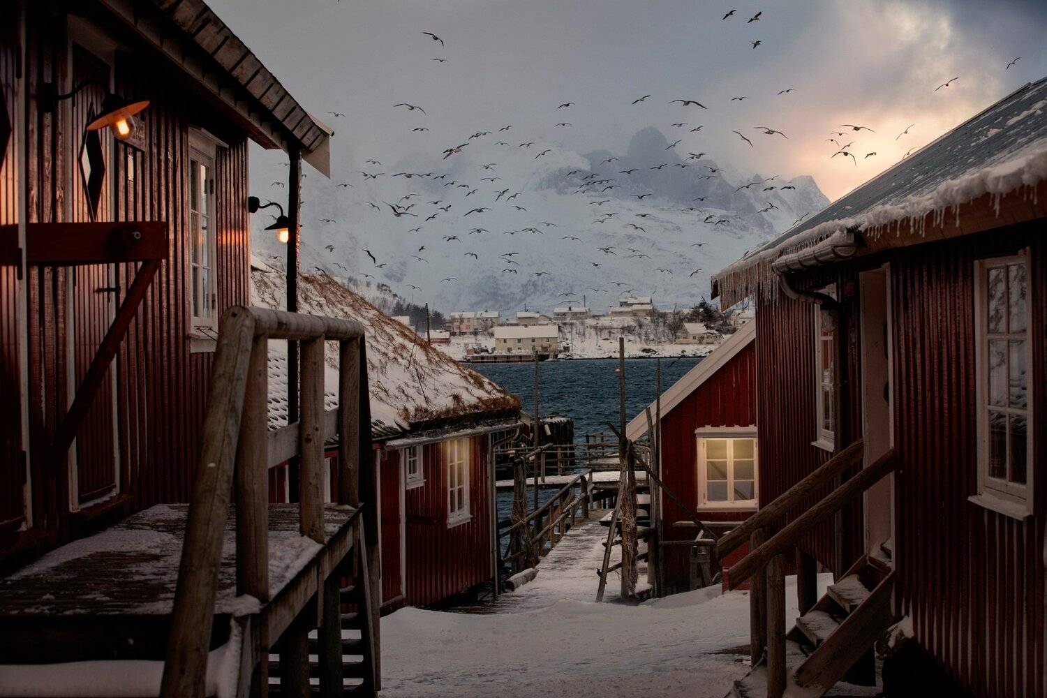 street, winter, snow, bird, Mountain, cold, Vladimir Karamazov