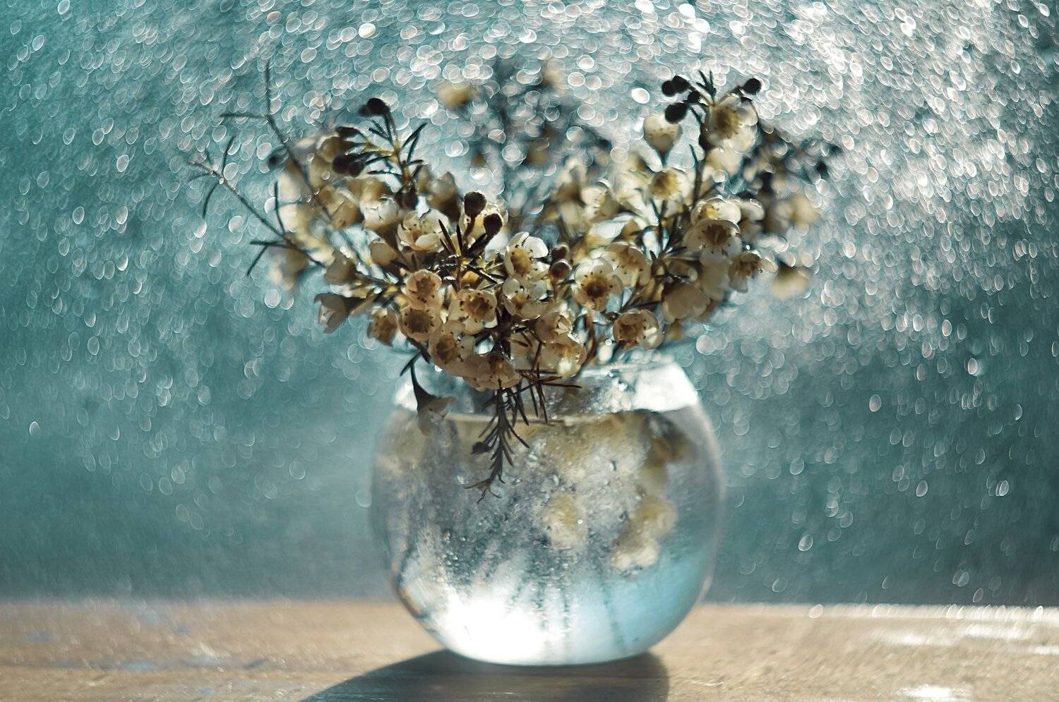 натюрморт, манальная оптика, боке, голубой, цветы, гелиос, красота, нежность, Лапшина Владлена