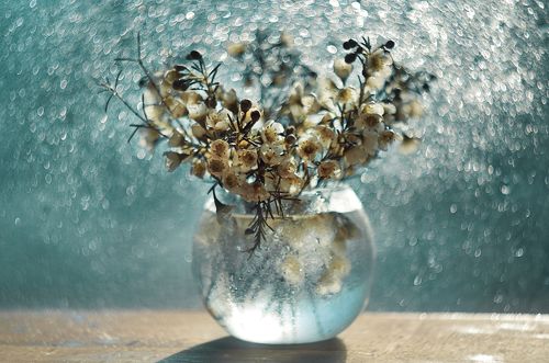 Буйство нежности