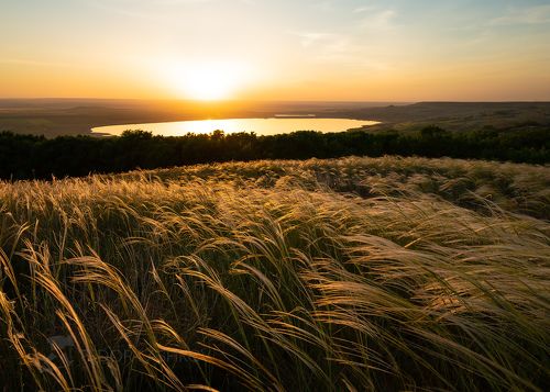 Янтарное серебро