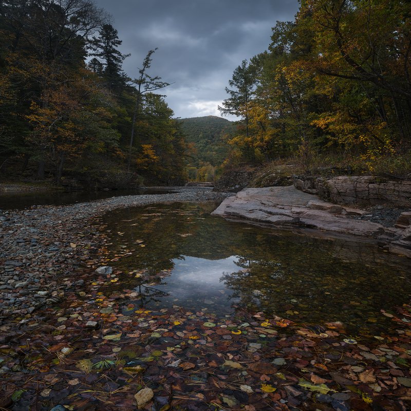 The Pink Rapids фото превью