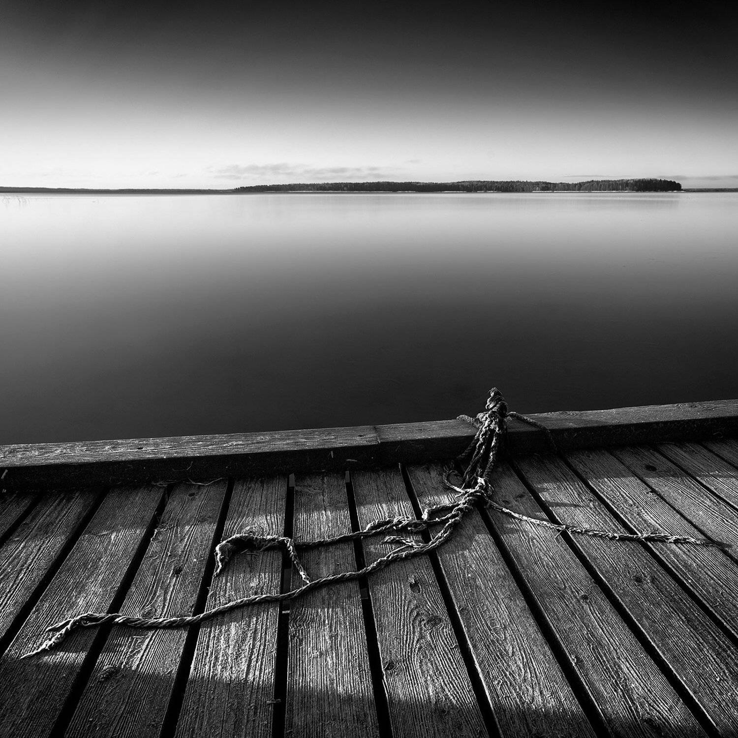 , Федотов Антон