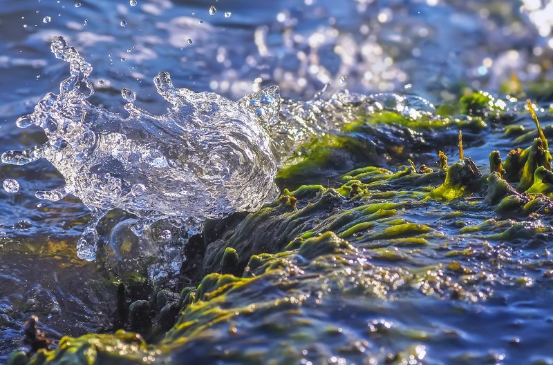вода,волна,хрусталь,капли,блики,тина,река Речной хрусталь фото превью