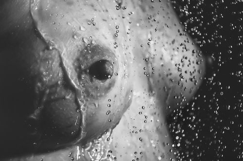 Немного о женском...