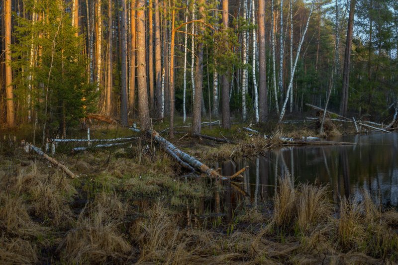 вечер апрель суходол вода закат В закатных лучах фото превью
