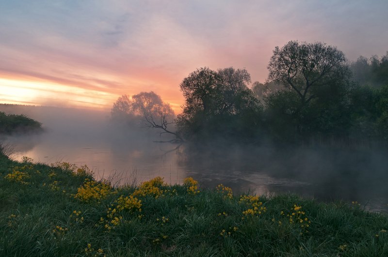 утро, свислочь, туман, весна, пейзаж Майский рассвет фото превью