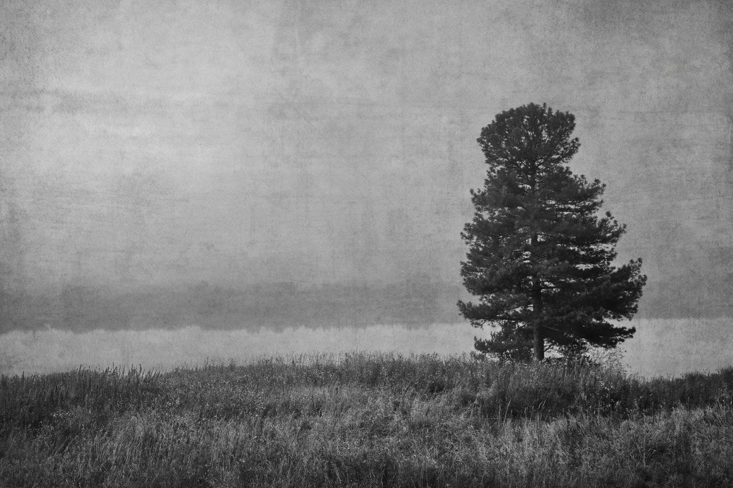 , Гагик Мхитарян