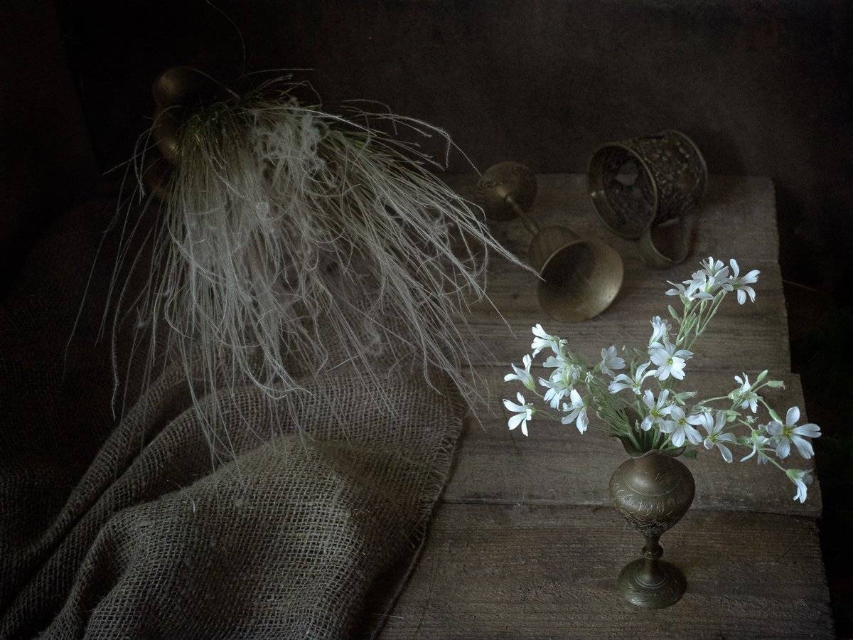 , Татьяна Аверина