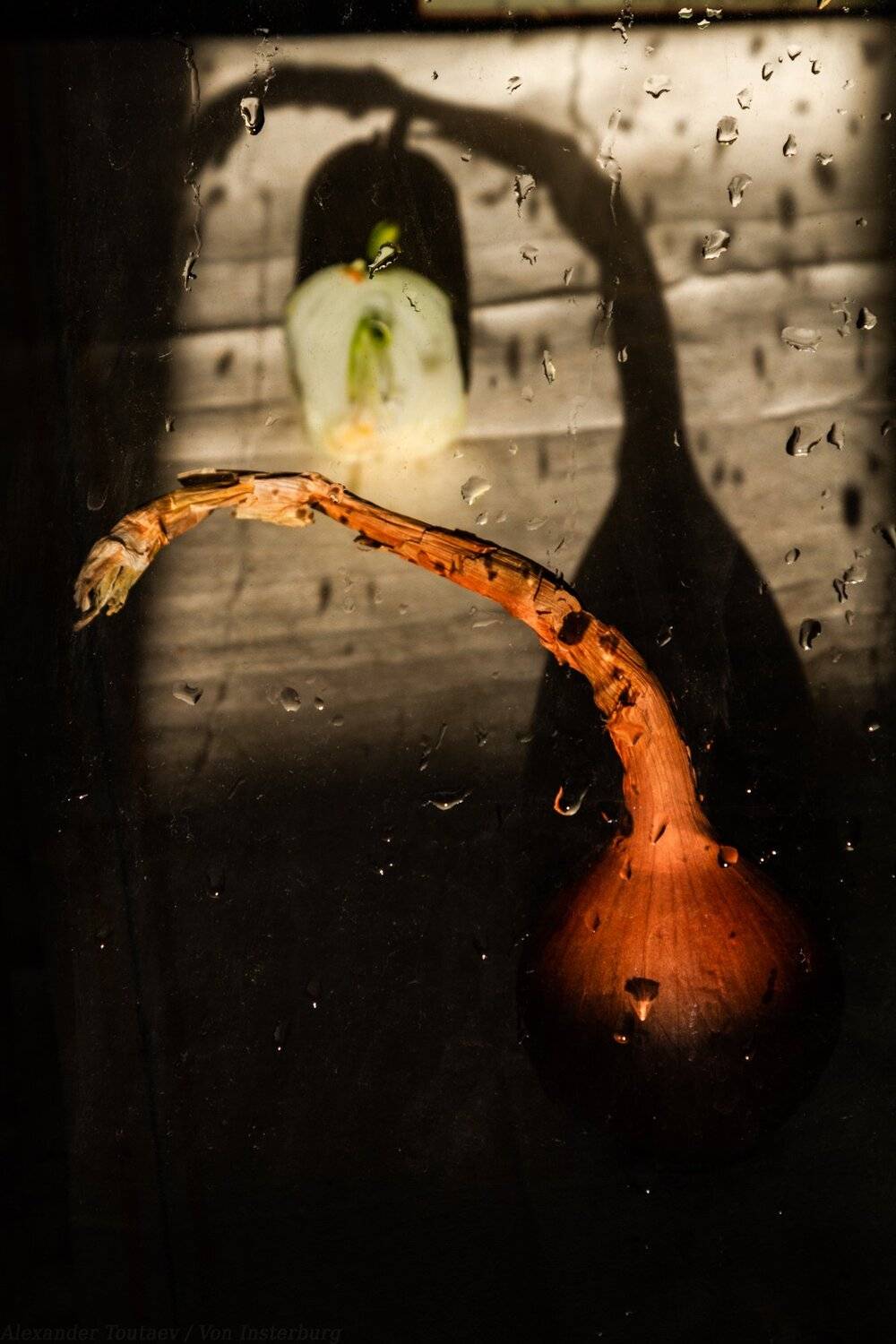 натюрморт, nature morte, still life, АлександрТутаев