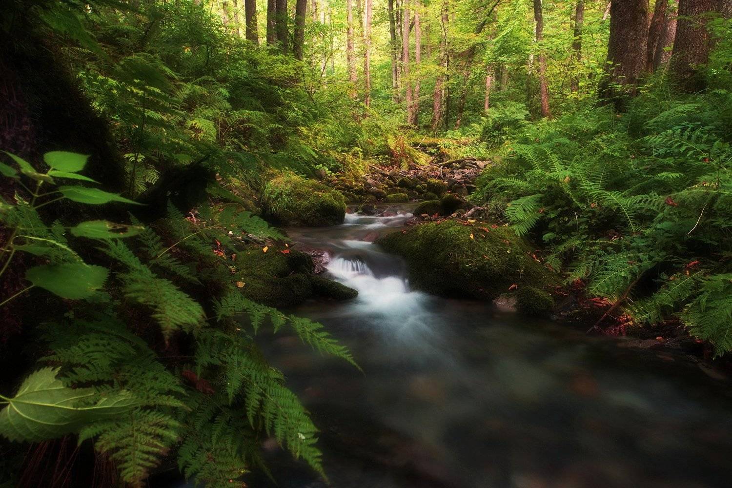 горы лес ручей, Евгений Никишин