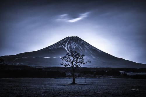 A Tree a Mountain and a Cloud