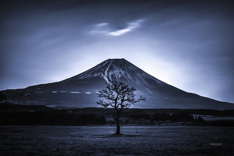 Fuji,Japan,mountain,cloud,tree,poem A Tree a Mountain and a Cloud фото превью