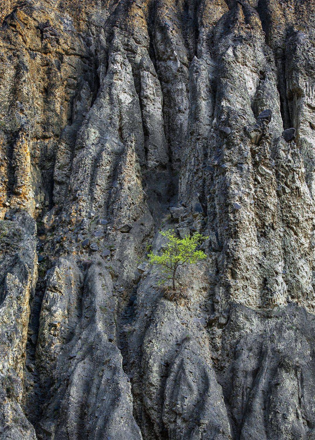 , Bessarion Chakhvadze