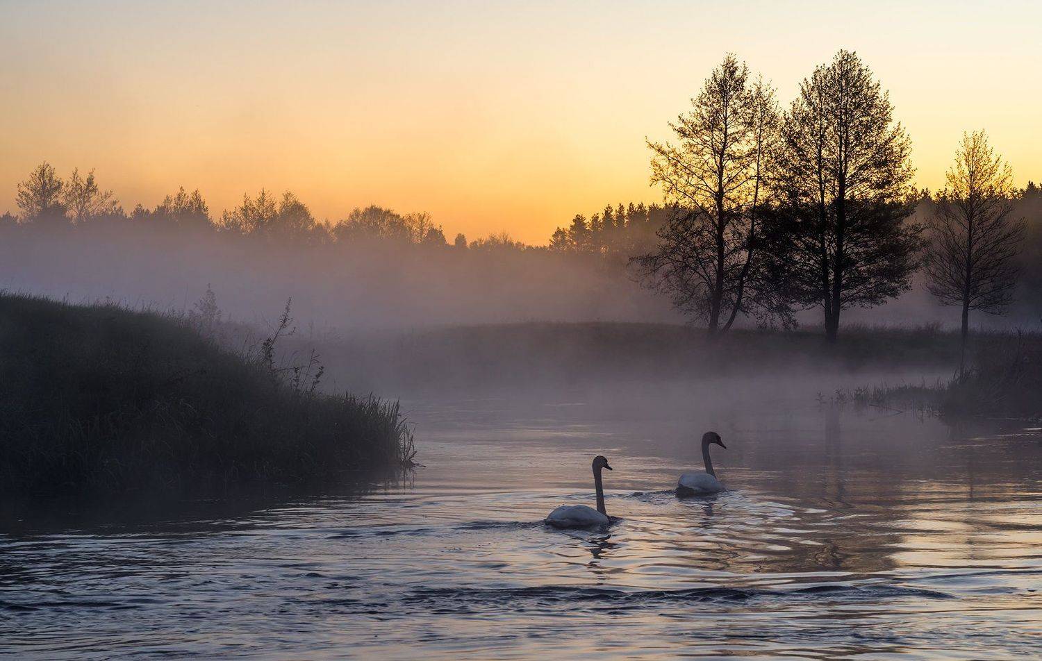 , Руслан Авдевич