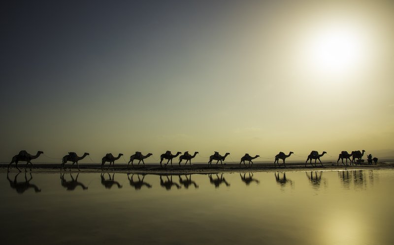 The Salt of the Earth... фото превью