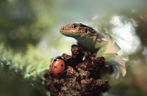 Свидание в слепую