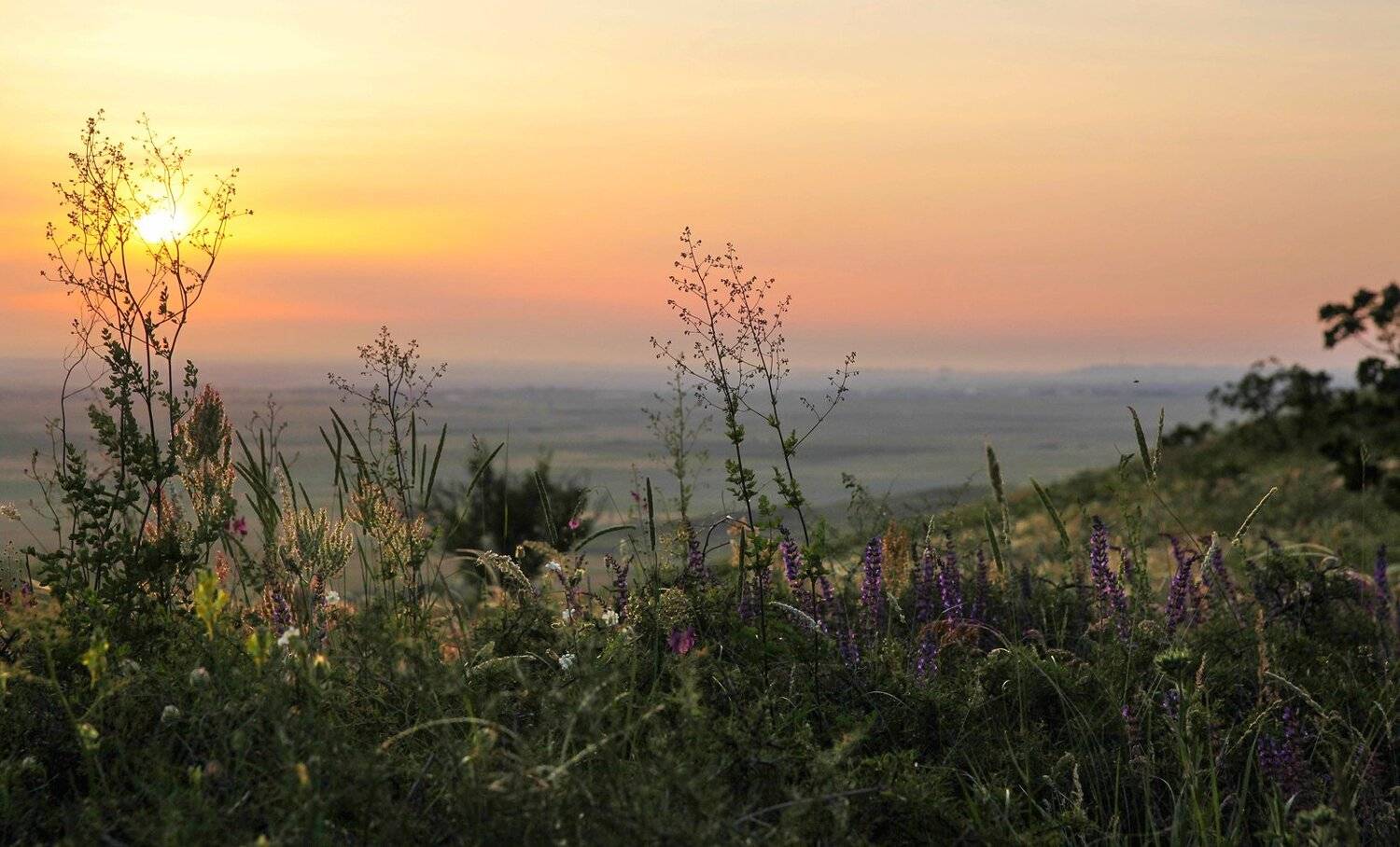 утро,весна,рассвет,дагестан,, Marat Magov